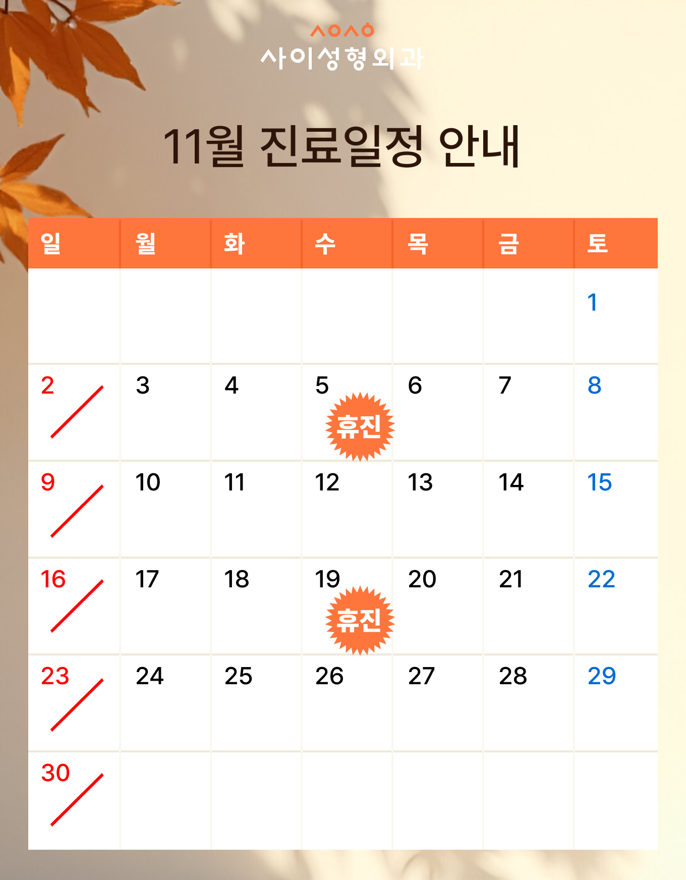 2025년 11월 진료안내