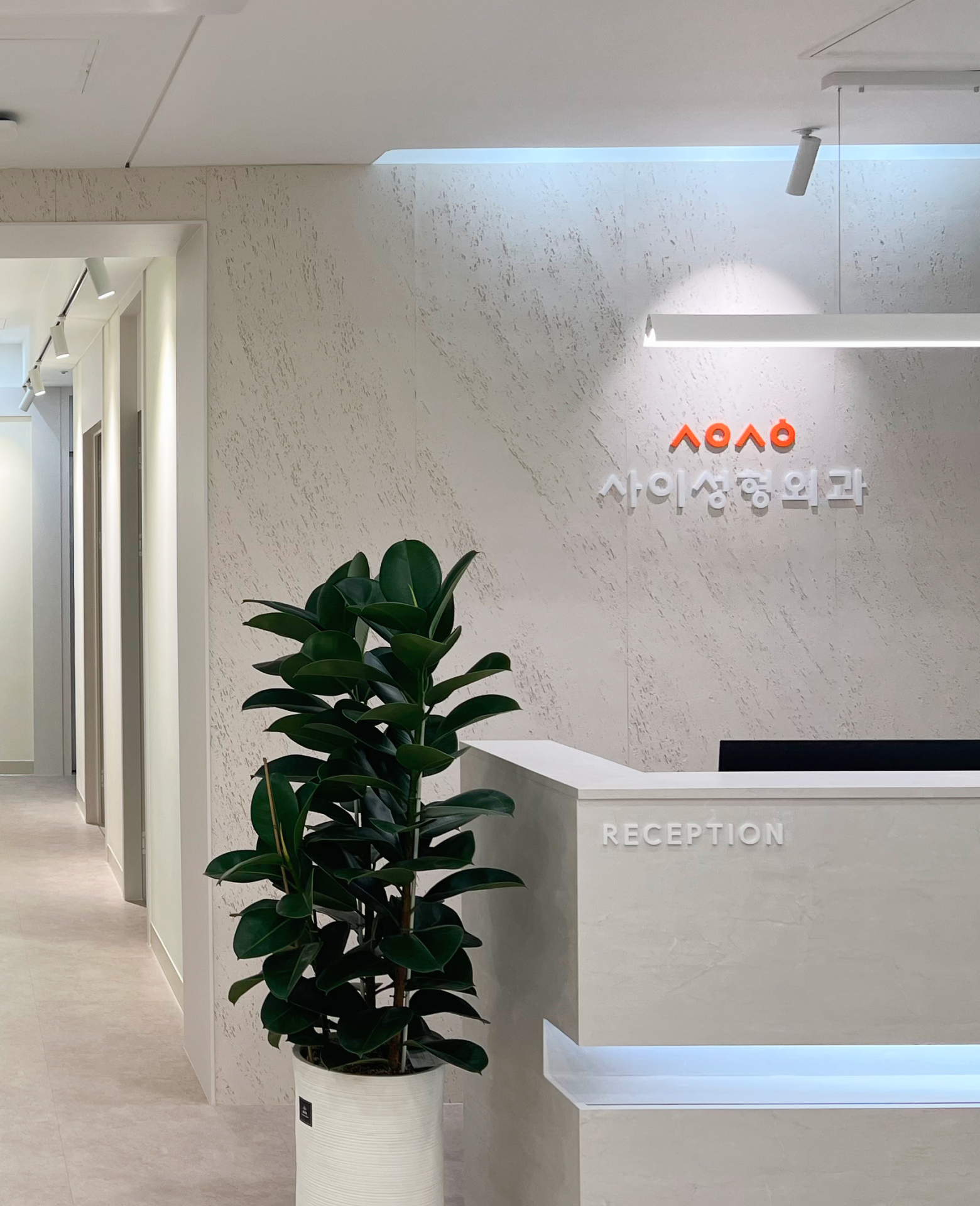 Sai Plastic Surgery About Page Lounge Img