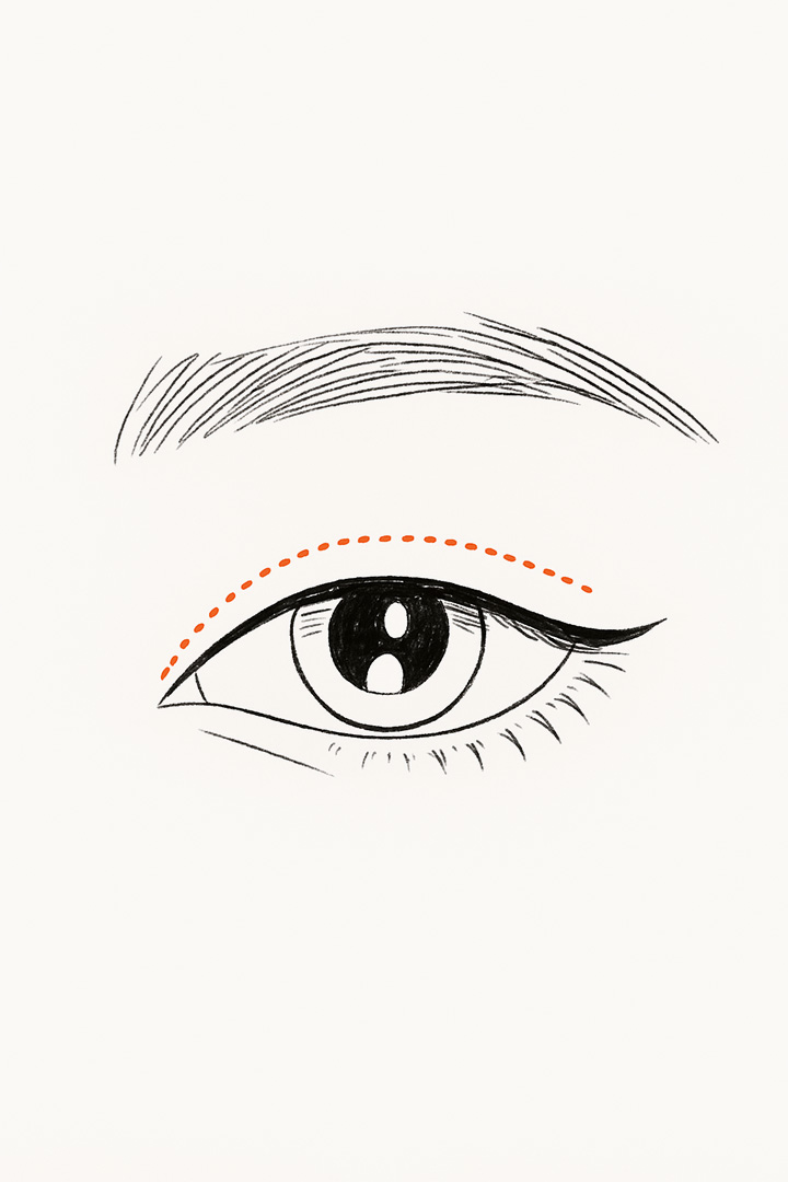 Designing lines[d] that[m] complement your eyes.