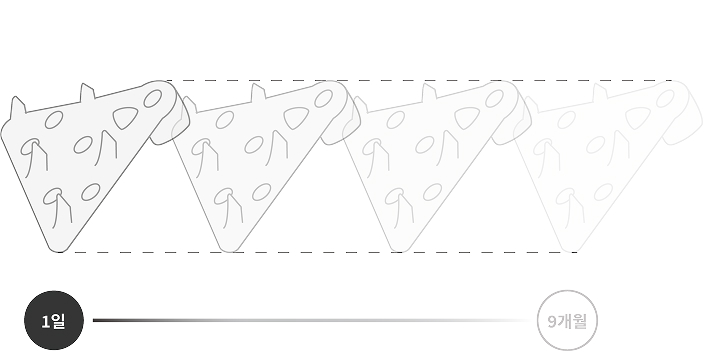 1년 내에 흡수되는[b] 식물 유래 생흡수성 폴리머