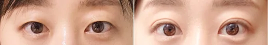 Sai Plastic Surgery Website Main page result 02
